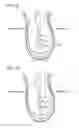 Fig. 16 - Midsole structure for a shoe