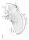 Fig. 02 - UPPER STRUCTURE AND SHOE INCLUDING UPPER STRUCTURE