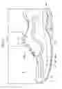 Fig. 11 - UPPER STRUCTURE AND SHOE INCLUDING UPPER STRUCTURE