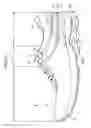 Fig. 14 - UPPER STRUCTURE AND SHOE INCLUDING UPPER STRUCTURE