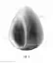 Fig. 04 - Cosmetic Applicator and Method