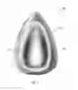 Fig. 05 - Cosmetic Applicator and Method