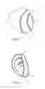 Fig. 02 - EAR PROTECTION