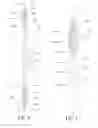 Fig. 06 - Oral care implement and method of forming the same