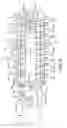Fig. 07 - LIQUID DISPENSING HAIRBRUSH