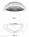 Fig. 08 - Skin cleanser