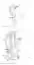Fig. 02 - Surface cleaning apparatus
