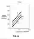 Fig. 19 - Automated endoscope calibration