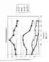 Fig. 10 - SEM scanner sensing apparatus, system and methodology for early detection of ulcers