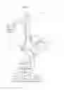 Fig. 02 - Mobile X-ray apparatus