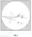 Fig. 02 - Computed tomography enhanced fluoroscopic system, device, and method of utilizing the same