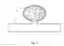 Fig. 02 - Occlusive devices