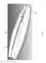 Fig. 09 - Adjustable microfracture handle