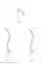 Fig. 02 - Methods, systems, and devices for designing and manufacturing a spinal rod