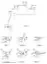 Fig. 10 - Method and System for Associating Pre-Operative Plan with Position Data of Surgical Instrument