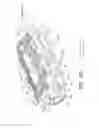 Fig. 08 - Expandable spinal fusion cage