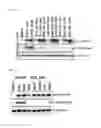 Fig. 07 - COMPOSITIONS AND METHODS FOR TREATING HIV-1 LATENCY
