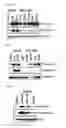 Fig. 08 - COMPOSITIONS AND METHODS FOR TREATING HIV-1 LATENCY