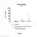 Fig. 08 - METHODS OF TREATING BRAIN CANCER USING AGENTS THAT ALTER ACTIVITY OF A METABOLIC PATHWAY