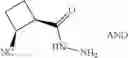 Fig. 304 - Cycloalkyl substituted triazole compounds as agonists of the APJ receptor