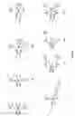 Fig. 02 - PT(IV) PRODRUGS