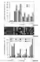 Fig. 05 - PT(IV) PRODRUGS