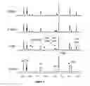 Fig. 08 - PT(IV) PRODRUGS