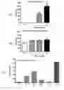 Fig. 01 - Therapeutic compounds and compositions for treating social disorders and substance use disorders
