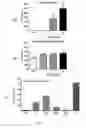 Fig. 02 - Therapeutic compounds and compositions for treating social disorders and substance use disorders