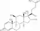 Fig. 02 - Pharmaceutical composition and use