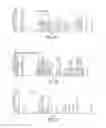 Fig. 07 - GLYCAN POLYMERS AND RELATED METHODS THEREOF