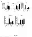 Fig. 04 - Methods and reagents for modulating macrophage phenotype