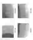 Fig. 04 - Isolation, cultivation and uses of stem/progenitor cells