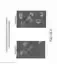 Fig. 45 - Isolation, cultivation and uses of stem/progenitor cells