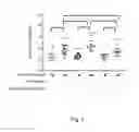 Fig. 02 - Probiotic composition for preventing, improving or alleviating pancreatic cancer and application thereof