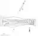 Fig. 02 - Injectable bone morphogenetic protein