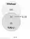 Fig. 06 - Compositions and methods for treating clostridium difficile infection