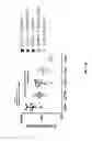 Fig. 07 - Compositions and methods for treating clostridium difficile infection