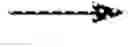 Fig. 02 - CONJUGATES OF AN IL-7 MOIETY AND A POLYMER