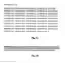 Fig. 02 - Complexes of IL-15 and IL-15Ralpha and uses thereof