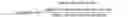 Fig. 02 - Chimeric antigen receptors that bind to SSEA4 and uses thereof
