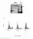 Fig. 04 - Marburgvirus consensus antigens, nucleic acid constructs and vaccines made therefrom, and methods of using same