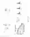 Fig. 05 - Marburgvirus consensus antigens, nucleic acid constructs and vaccines made therefrom, and methods of using same