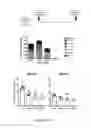 Fig. 06 - Marburgvirus consensus antigens, nucleic acid constructs and vaccines made therefrom, and methods of using same