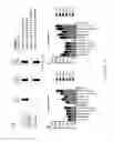Fig. 10 - Marburgvirus consensus antigens, nucleic acid constructs and vaccines made therefrom, and methods of using same