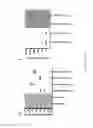 Fig. 11 - Marburgvirus consensus antigens, nucleic acid constructs and vaccines made therefrom, and methods of using same
