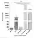 Fig. 01 - Optimized polypeptide for a subunit vaccine against avian reovirus