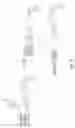 Fig. 29 - Silicon based drug conjugates and methods of using same