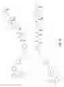 Fig. 41 - Silicon based drug conjugates and methods of using same