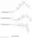 Fig. 48 - Silicon based drug conjugates and methods of using same
